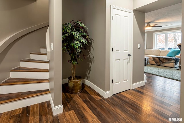 entrance foyer featuring dark hardwood / wood-style flooring and ceiling fan