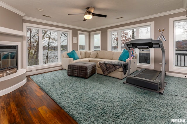 workout area with a healthy amount of sunlight, dark wood-type flooring, and ornamental molding