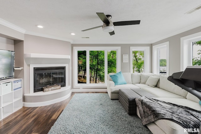 12225 Pebble Point Rd, Marion, IL 62959 - living room with plenty of natural light, crown molding, dark wood-style flooring, a ceiling fan, and a glass covered fireplace