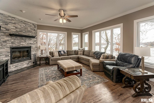 living room with a fireplace, ceiling fan, crown molding, and dark wood-type flooring