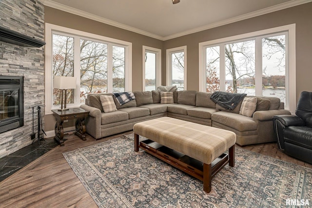 living room featuring a stone fireplace, ornamental molding, and dark wood-type flooring