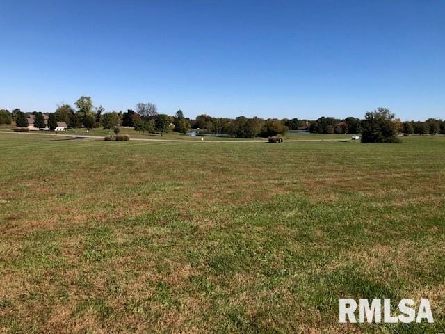 000 Ariel Dr, Murphysboro, IL 62966 - photo 3