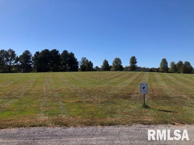 000 Ariel Dr, Murphysboro, IL 62966 - photo 4