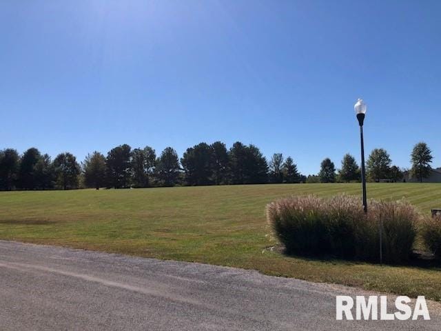 000 Ariel Dr, Murphysboro, IL 62966 - photo 6