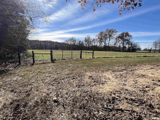 view of yard with a rural view