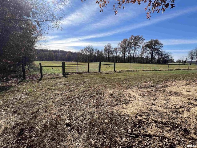 11619 E Radisson Rd, Mount Vernon, IL 62864 - photo 30