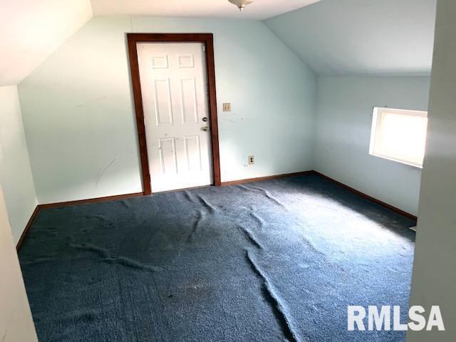 additional living space with carpet and lofted ceiling