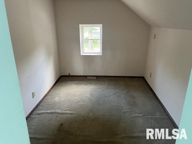 207 E Oak St, Carbondale, IL 62901 - additional living space with carpet and vaulted ceiling