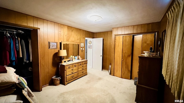 1107 E Cleveland St, West Frankfort, IL 62896 - carpeted bedroom featuring wooden walls and a closet