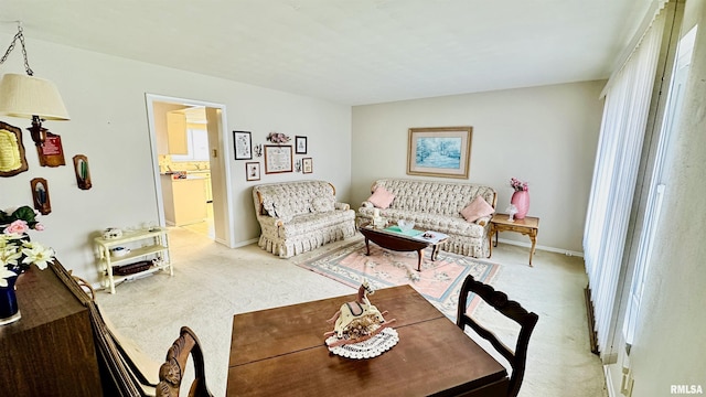 living room featuring carpet flooring