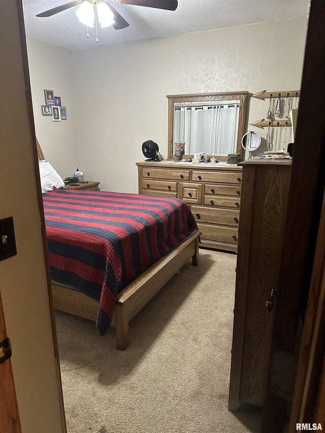 307 N Pine St, Desoto, IL 62924 - photo 11