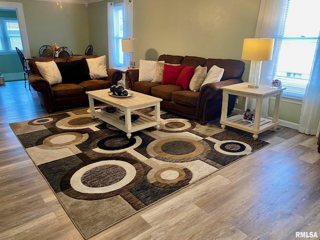 living room with ornamental molding and hardwood / wood-style flooring