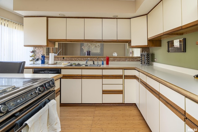 kitchen with white cabinetry, light hardwood / wood-style flooring, and sink