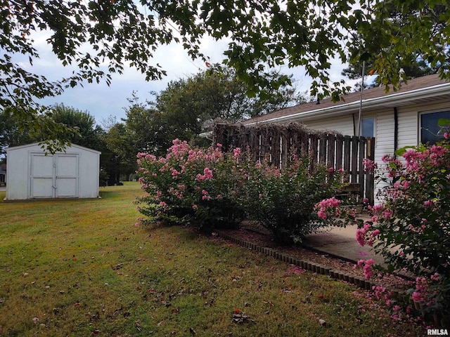 view of yard with a storage shed