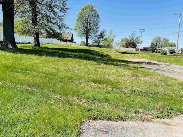 301 Country Club Ln, Harrisburg, IL 62946 - photo 5