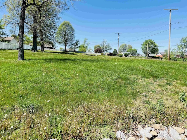 301 Country Club Ln, Harrisburg, IL 62946 - photo 6