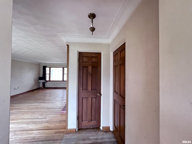 corridor featuring crown molding and hardwood / wood-style floors