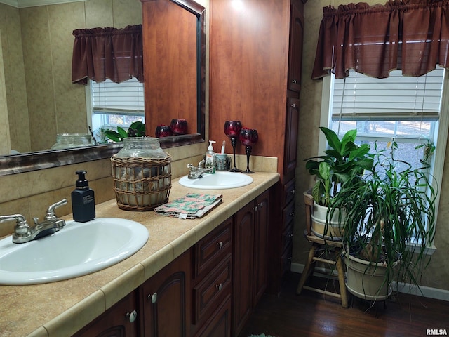 bathroom with hardwood / wood-style floors and vanity