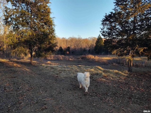 view of yard with a rural view