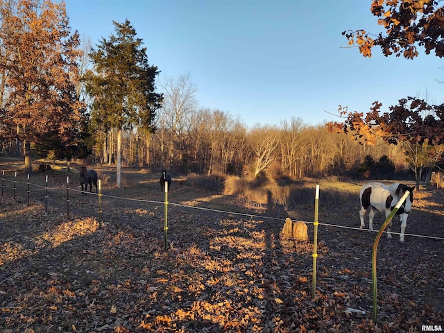 view of yard with a rural view