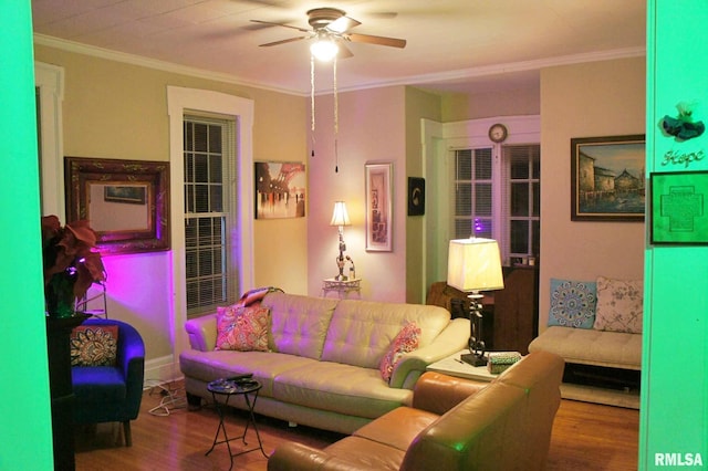 living room with ceiling fan, hardwood / wood-style floors, and ornamental molding