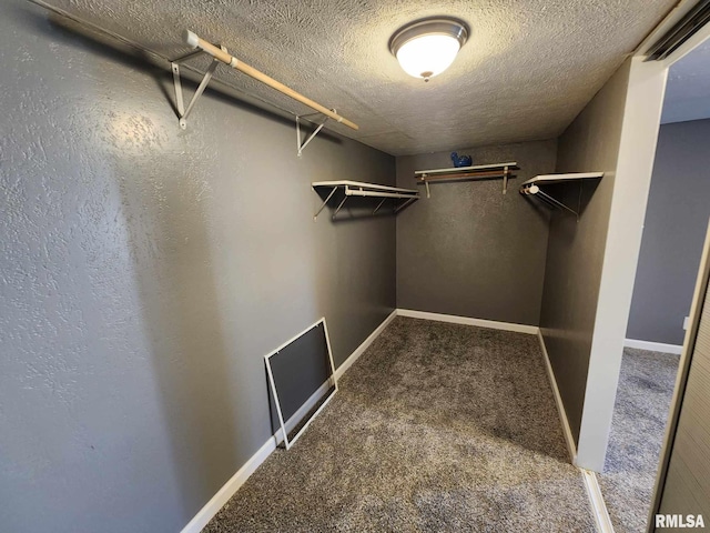 spacious closet with carpet floors