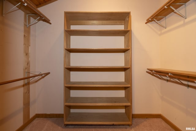 221 Poplar Lake Rd, Makanda, IL 62958 - spacious closet with carpet