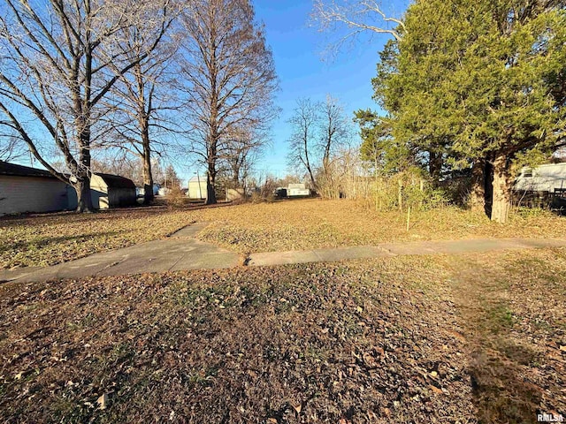 123 E Pulley St, Hurst IL, 62949 land for sale