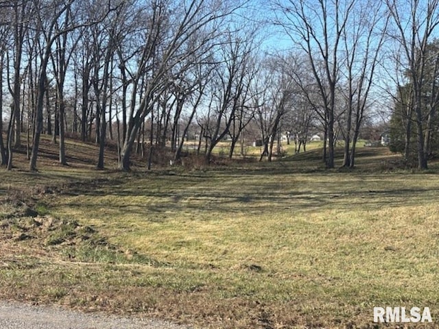 Listing photo 3 for TBD Birdie Dr, Mount Vernon IL 62864