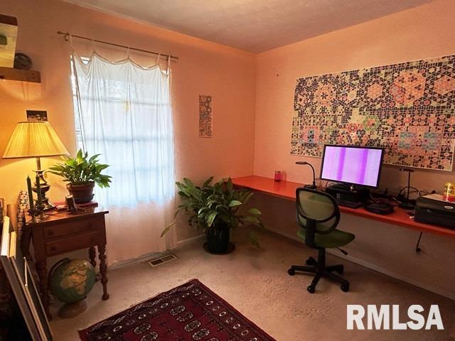 home office with carpet flooring and a wealth of natural light