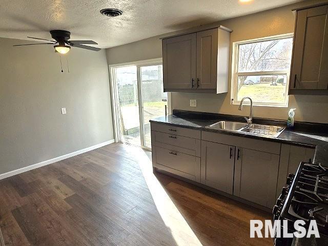 kitchen featuring a textured ceiling, sink, gray cabinetry, and dark wood-type flooring