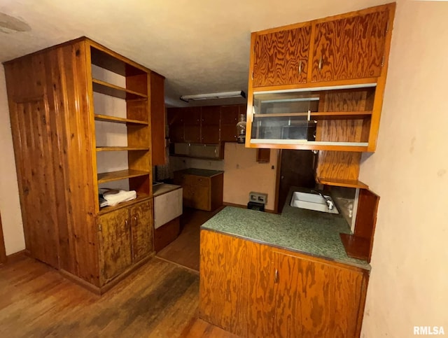 kitchen with dark hardwood / wood-style flooring and sink