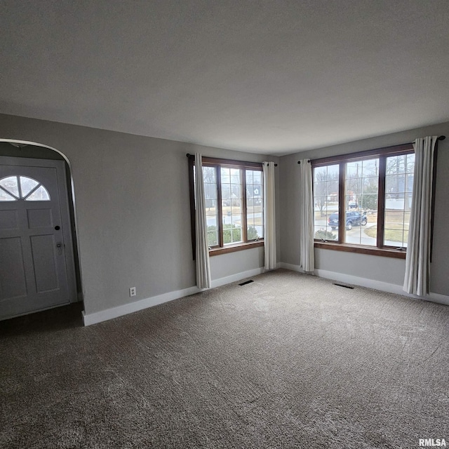 carpeted foyer featuring a wealth of natural light