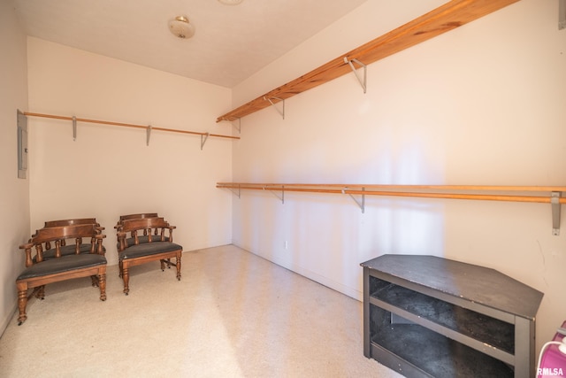 spacious closet featuring electric panel