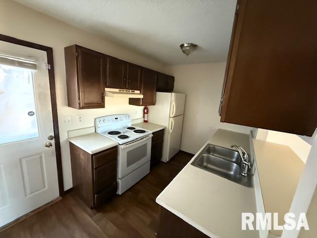 kitchen with dark hardwood / wood-style flooring, white appliances, sink, and dark brown cabinetry