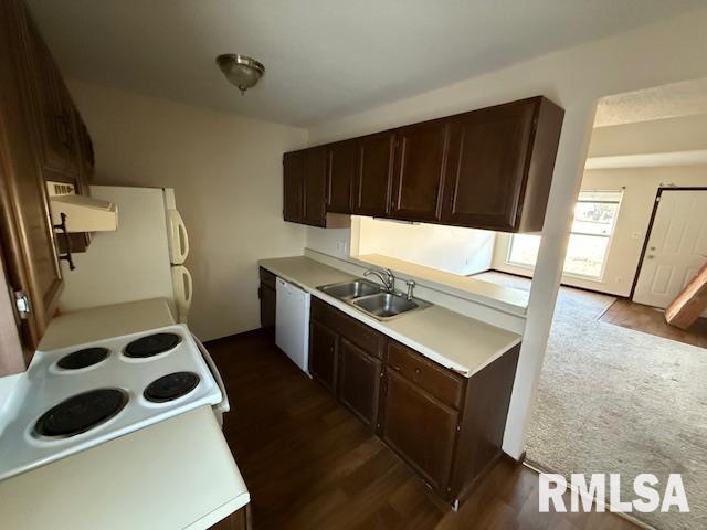 kitchen with dark hardwood / wood-style flooring, white appliances, dark brown cabinetry, exhaust hood, and sink