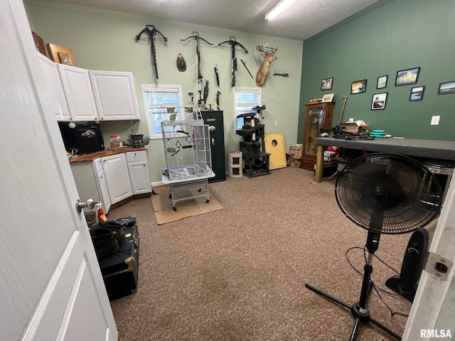 miscellaneous room featuring carpet flooring and a textured ceiling