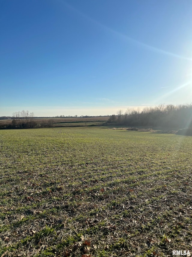 view of yard with a rural view