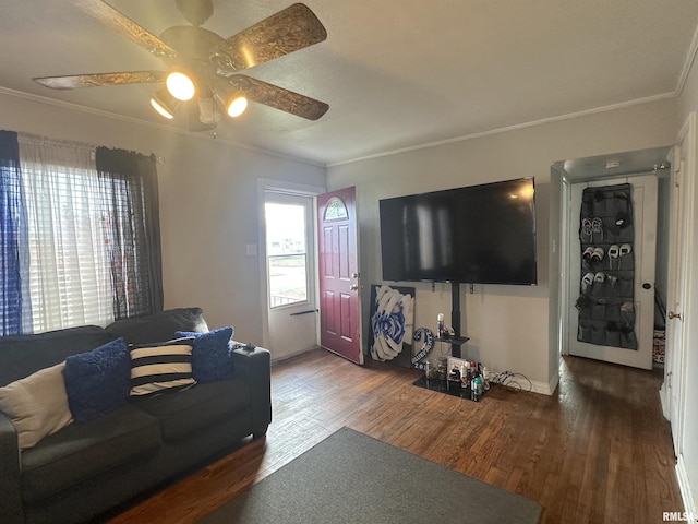 living room with crown molding, dark hardwood / wood-style flooring, and ceiling fan