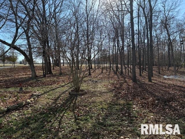 14892 Fowler School Rd, Marion, IL 62959 - view of yard
