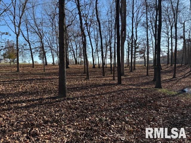 14892 Fowler School Rd, Marion, IL 62959 - view of nature