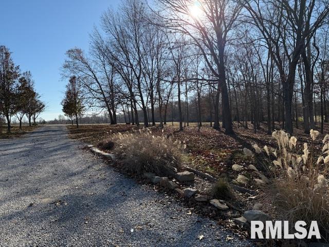 14892 Fowler School Rd, Marion, IL 62959 - view of dirt / gravel road