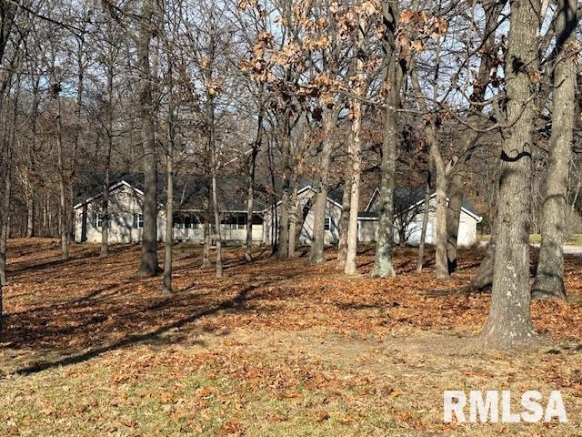 14892 Fowler School Rd, Marion, IL 62959 - view of yard