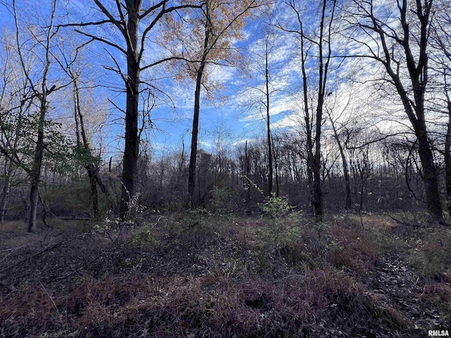 view of local wilderness