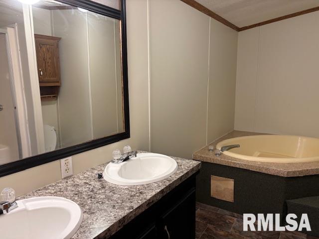 bathroom featuring a washtub, vanity, and ornamental molding