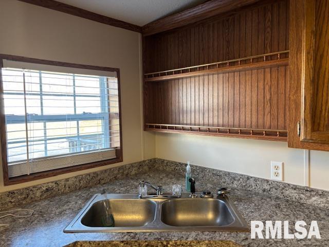 kitchen with ornamental molding and sink