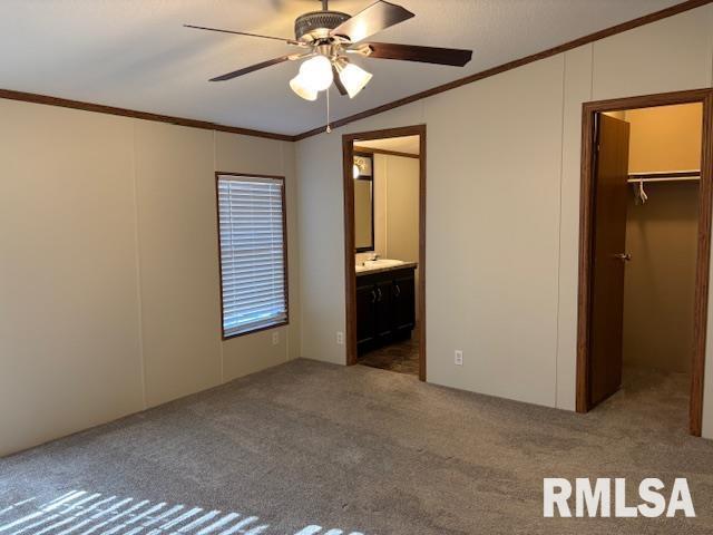 unfurnished bedroom featuring carpet flooring, a spacious closet, ceiling fan, crown molding, and a closet