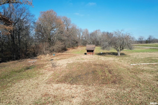 view of yard with a rural view