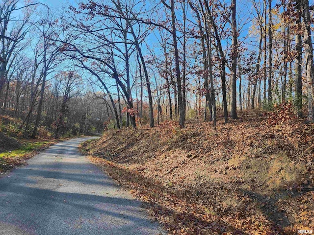 000 W Lake Rd, Pinckneyville, IL 62274 - photo 1