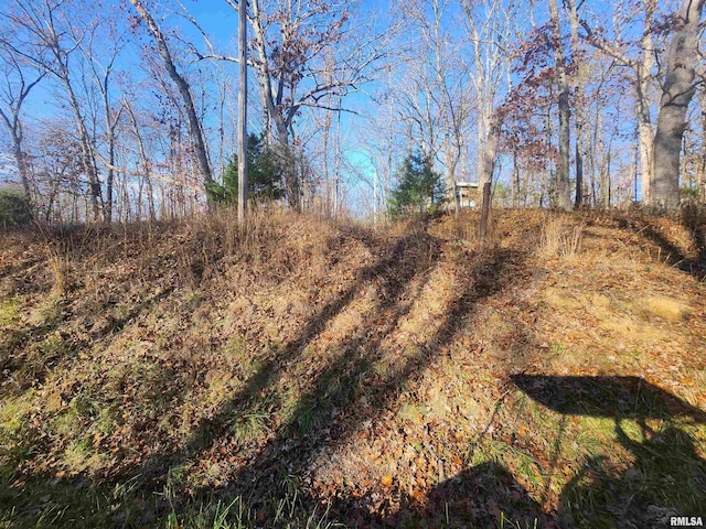 000 W Lake Rd, Pinckneyville, IL 62274 - photo 2